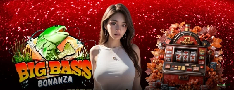 Programa VIP exclusivo da ceobet